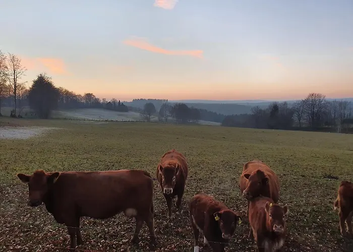 Eifel-oase * Monschau