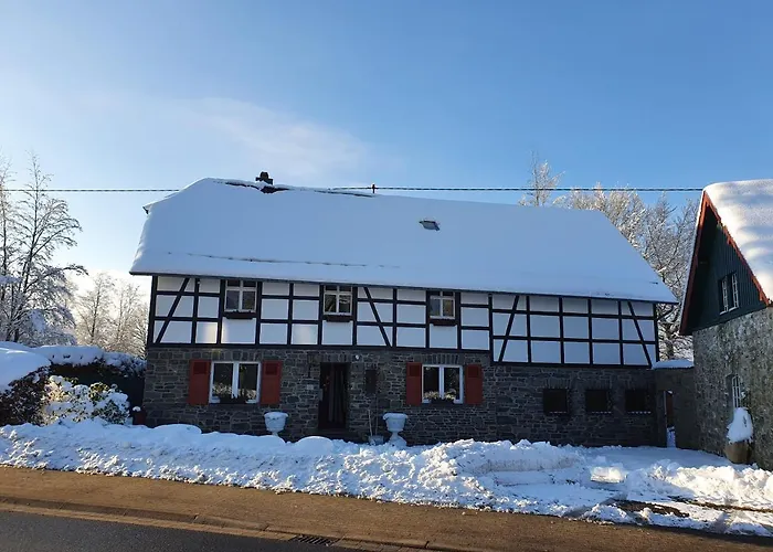 Eifel-oase شقة مونشاو